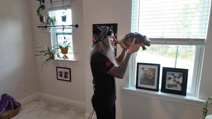 Endangered tortoise inspires Jacksonville conservation movement