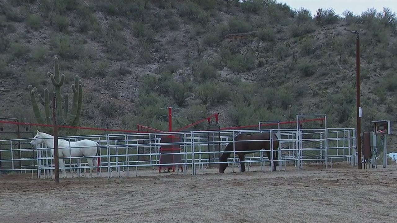 Equine herpes outbreak causing event cancellations in Arizona