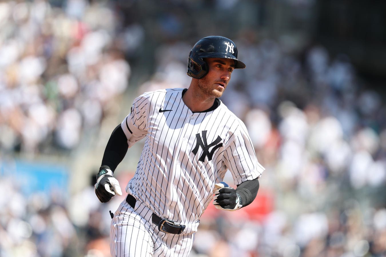 New York Yankees Enjoy Ballpark Advantage In Quest For Cody Bellinger