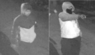 1 sexually assaulted at gunpoint on Wilson in Ravenswood Manor, Chicago police say