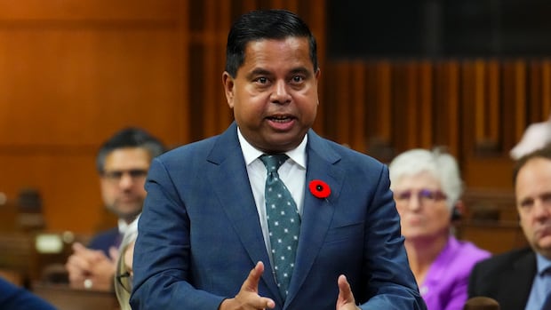 Gun buyback program will launch nationally after Nova Scotia pilot, minister says