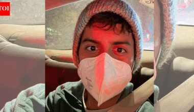 ‘Leave Delhi, go in debt if you have to’: London-based Indian techie cuts short visit over toxic air, urges exodus; netizens react | Delhi News