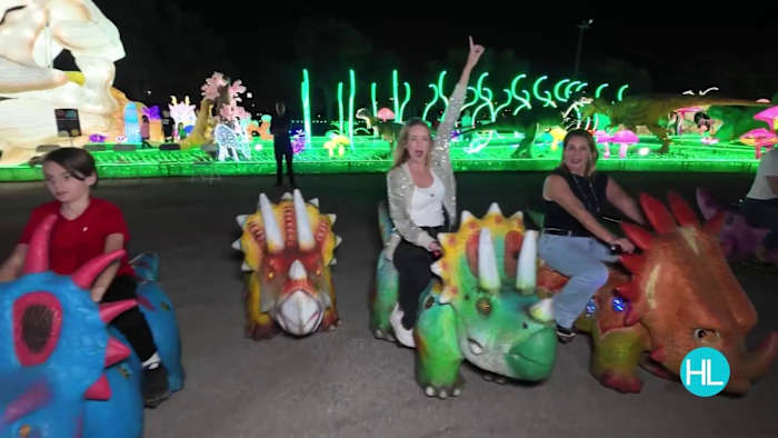 Magical Winter Lights is back