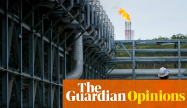 The latest inflation figures offer no joy – except to the gas producers whose windfall profits remain largely untouched | Greg Jericho