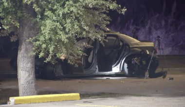 3 people killed in multi-vehicle crash involving intoxicated driver near West Orem Drive near Almeda Road in SW Houston, HPD says
