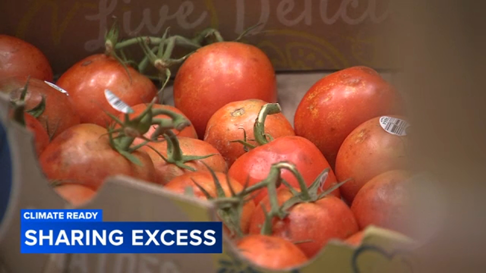 How a Philly-based nonprofit is helping feed those in need