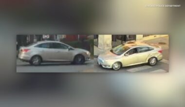 Chicago Police Department looking for hit-and-run driver after pedestrian hit by car at East 76th Street and South Crandon Avenue