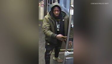 Chicago robbery: Police searching for suspect who attacked, robbed woman on CTA Red Line in Armour Square
