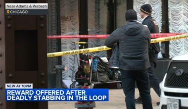Chicago Loop stabbing: 6 in custody after homeless man stabbed to death outside Wabash Street restaurant, officials say