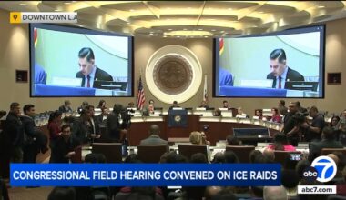 Congressional democrats hold hearing in LA, call for investigation of possible 'civil rights violations' by federal agents
