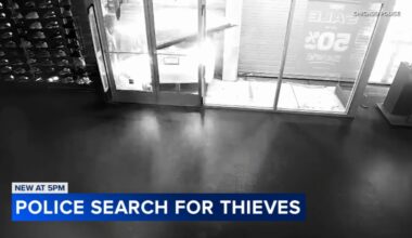 Chicago crime: New video shows crash-and-grab thieves slam stolen car into Garfield Park store; Humboldt Park shop also hit