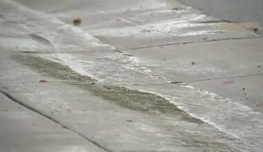 Los Angeles has captured nearly 5.5 billion gallons of water from storms since October 1, LADWP says