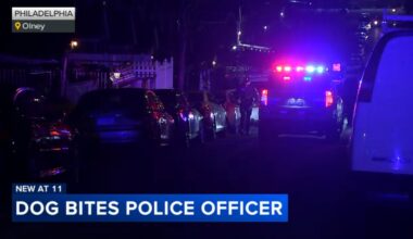 Philadelphia officer seriously hurt after being attacked by a dog