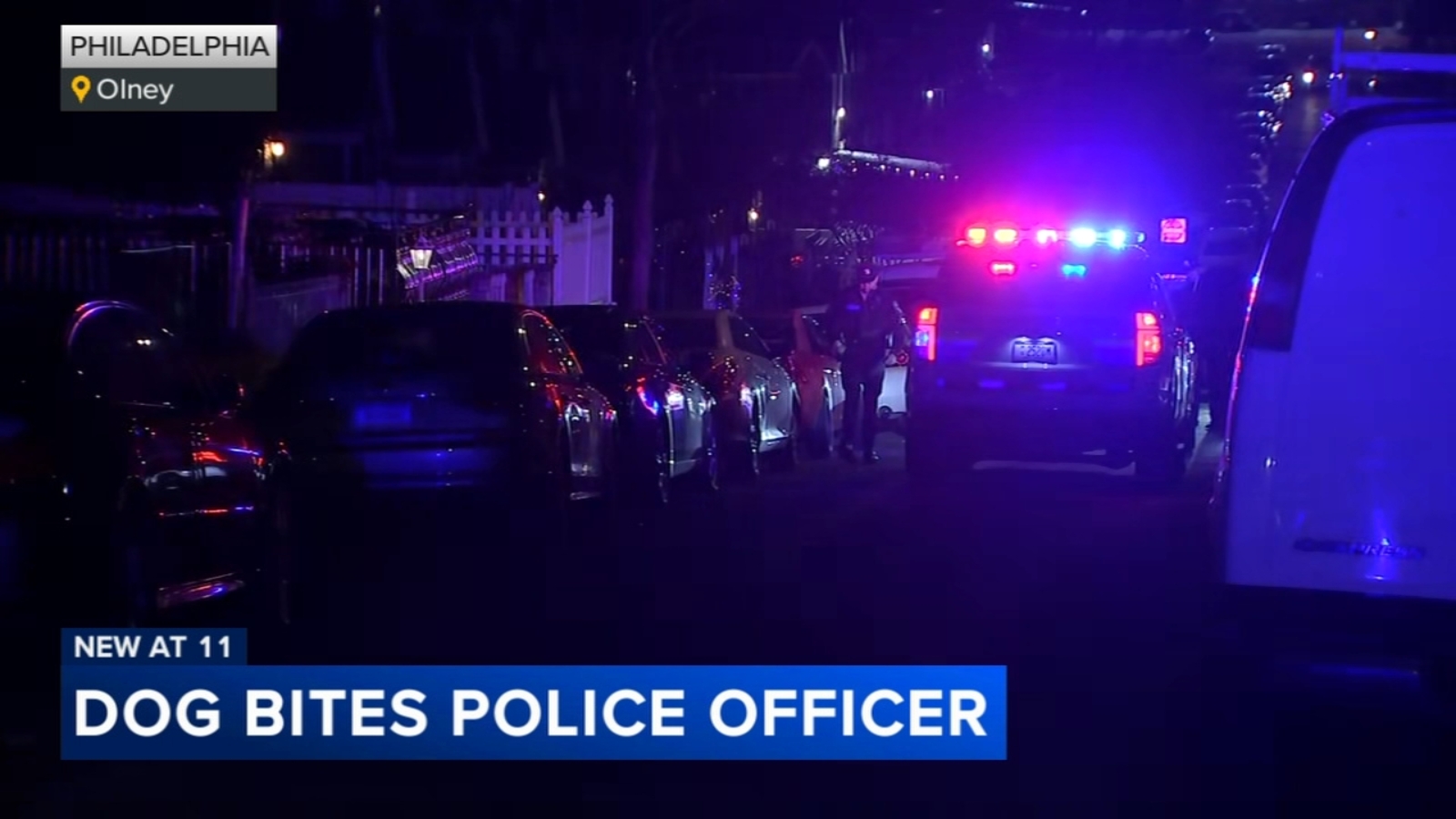 Philadelphia officer seriously hurt after being attacked by a dog