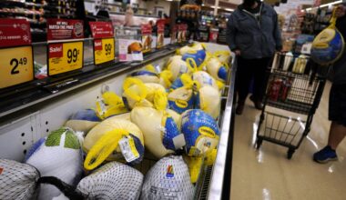 Inflation, US Economy, Holiday Shopping