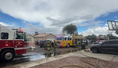 2 dogs dead, 2 people displaced after Phoenix house fire...
