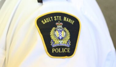 Thief tries to injure security officer with a pin: police