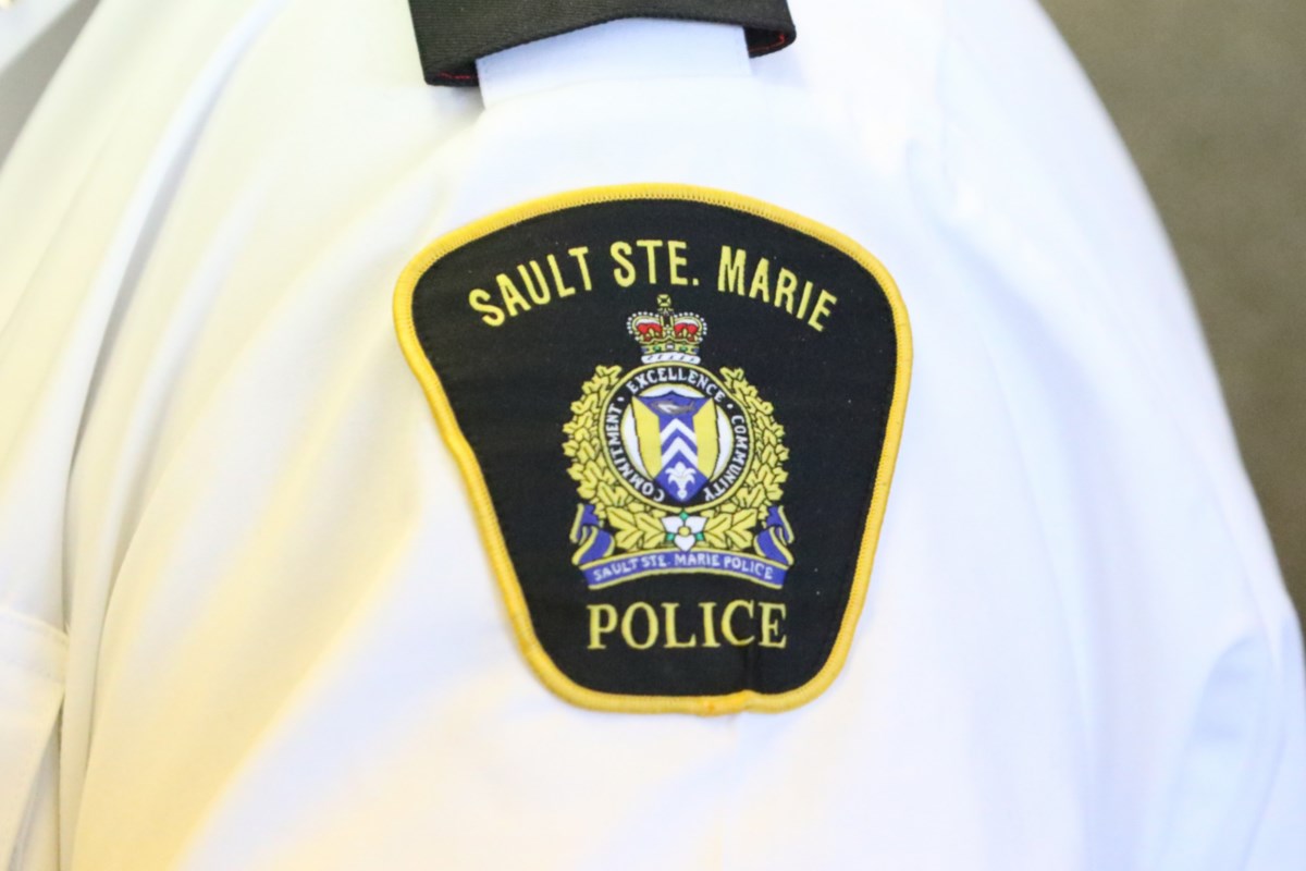 Thief tries to injure security officer with a pin: police