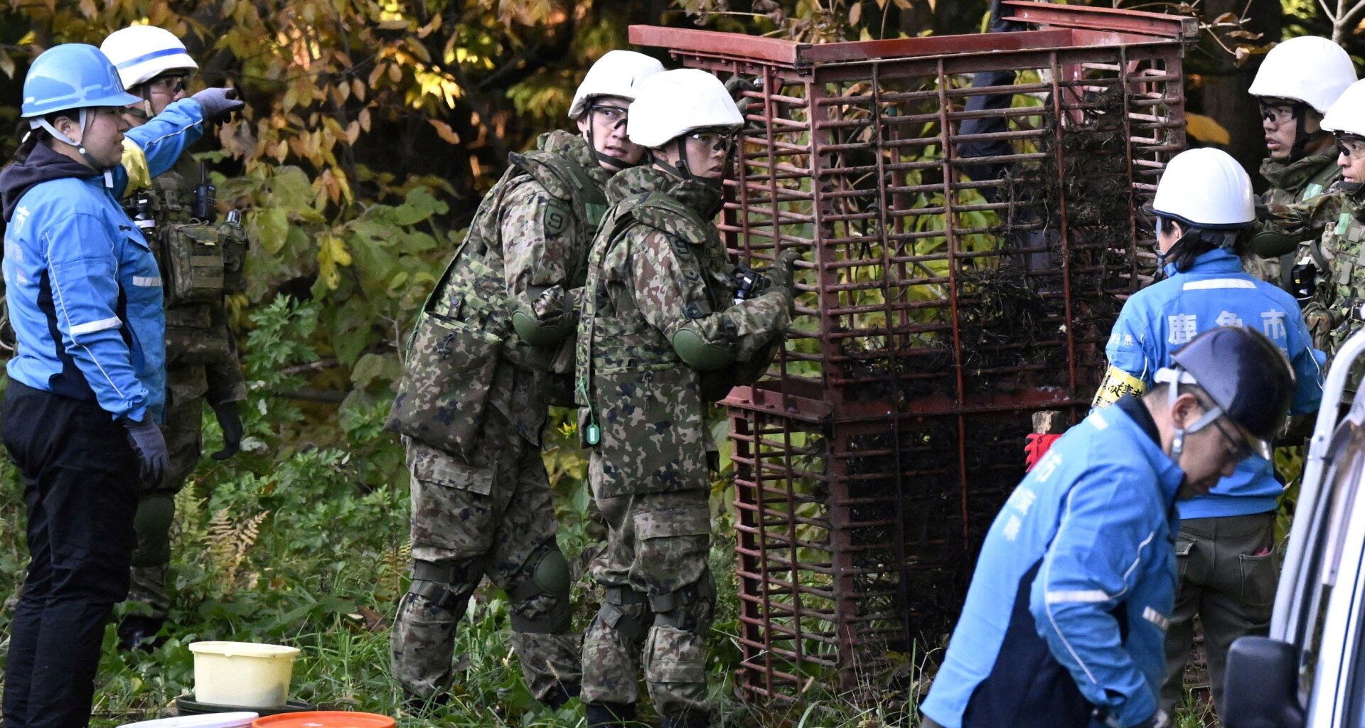Japan deploys the military in north to battle surge in bear attacks | News