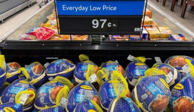 Prices increase as Americans prepare for Thanksgiving | Business and Economy News