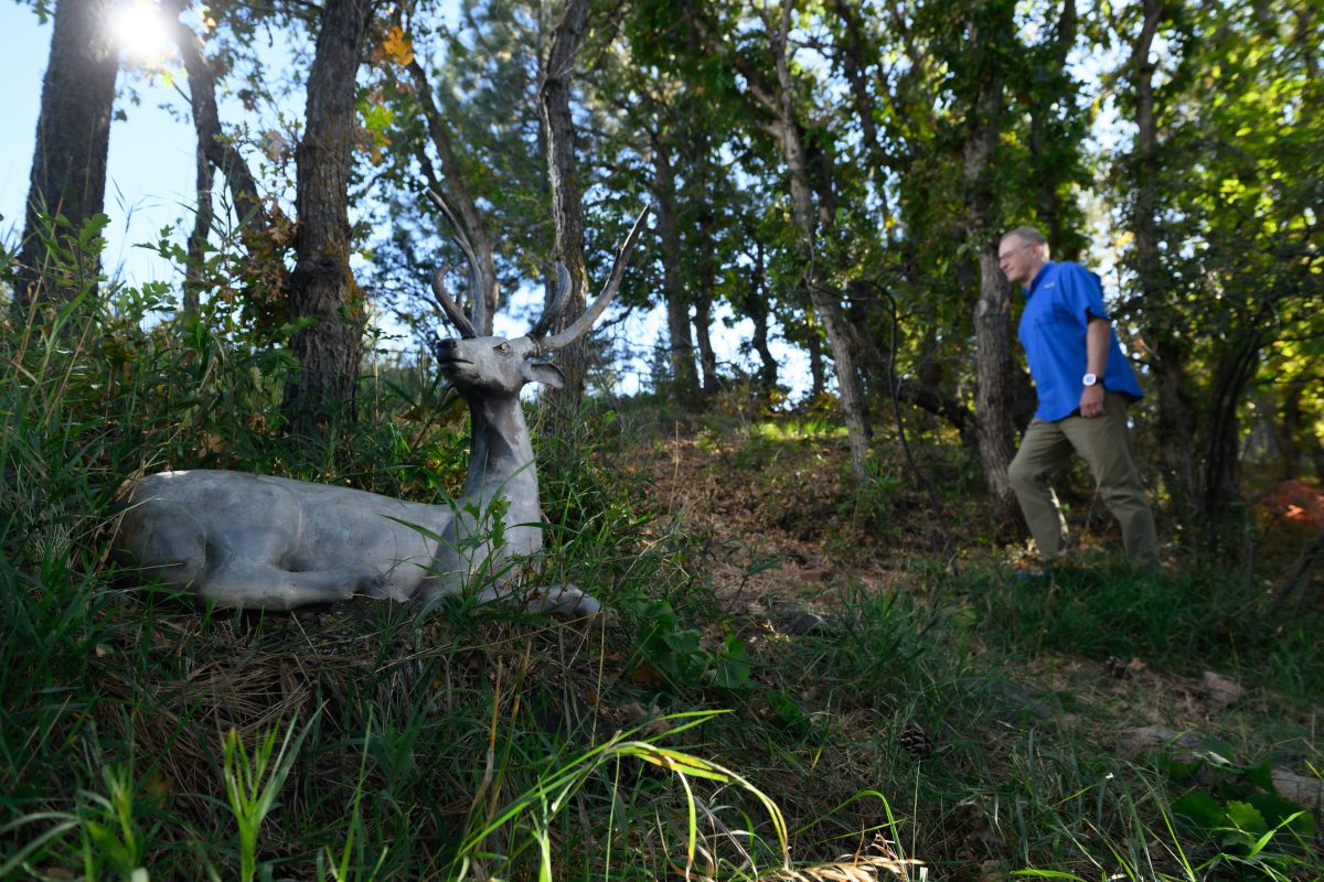 A man in a blue shirt and khaki pants walks uphill in a wooded area near a lifelike deer statue lying on the grass.