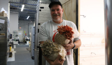Made in Tarrant: Arlington mushroom farm aims to elevate nutrition, health, gourmet produce