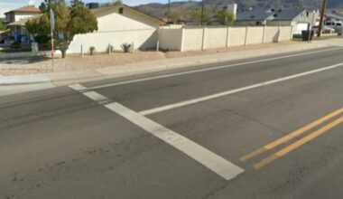 Stop bars are lines that denote where a vehicle must stop at an intersection.