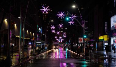 Living lightscapes transform Downtown Brooklyn for the holidays • Brooklyn Paper