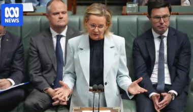 Liberals shifting towards dumping net zero, despite moderate faction fears