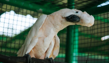 Yahoo lifestyle home