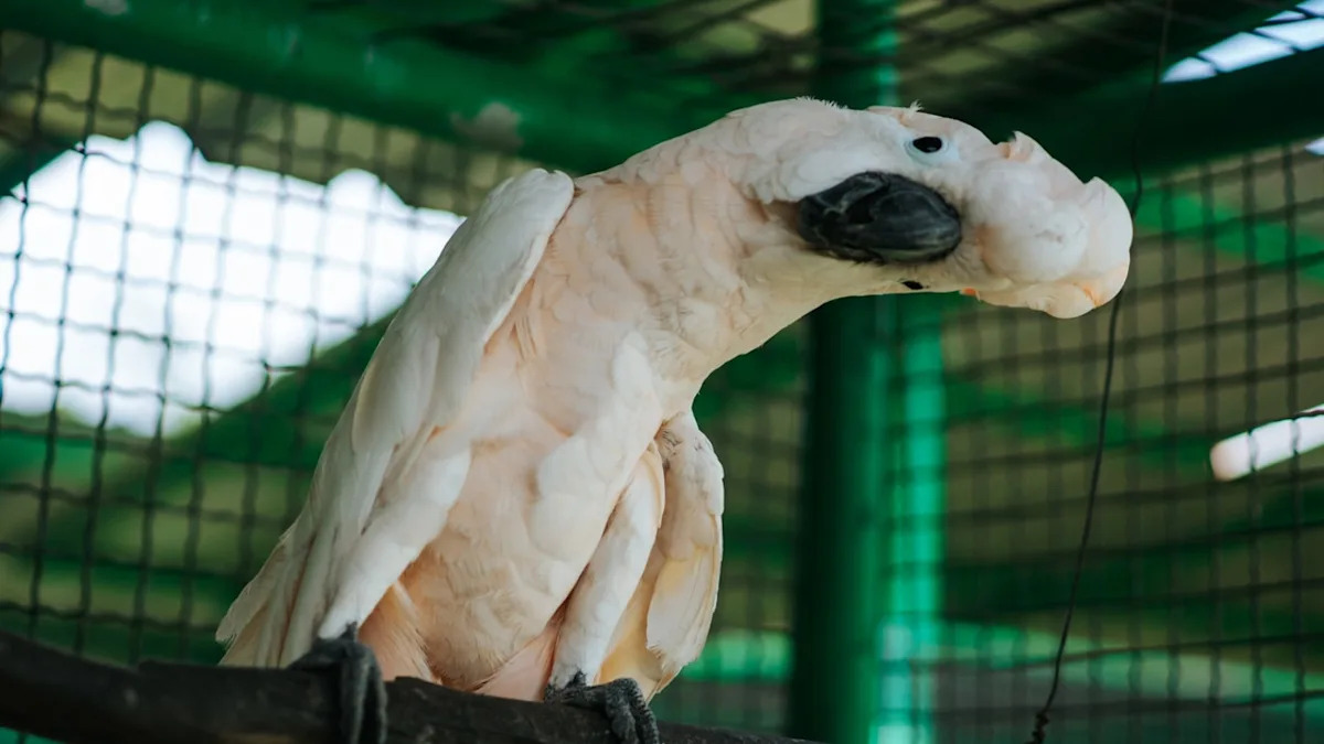 Yahoo lifestyle home