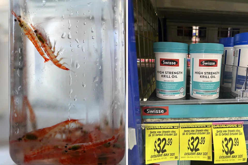 Left: Krill in a jar. Right: Swisse krill oil on the shelf.