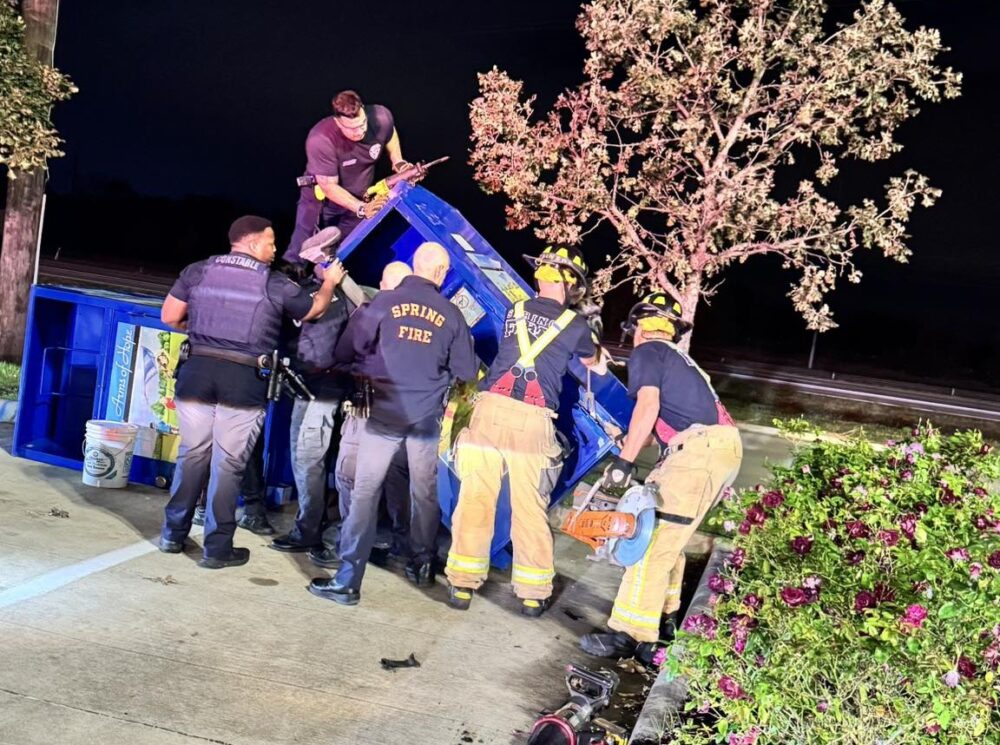 Spring Donation Box Death