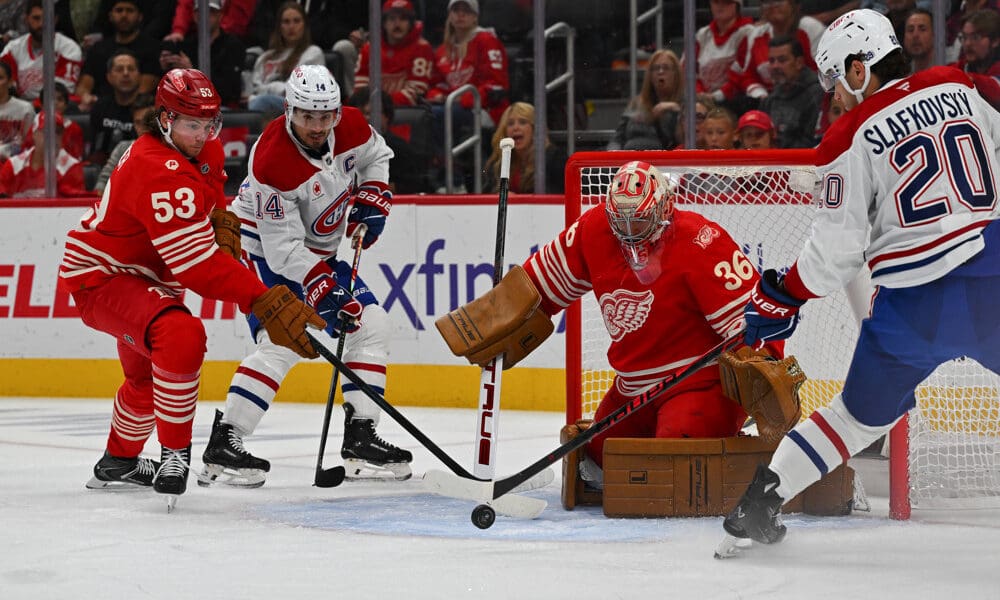 John Gibson, Red Wings