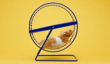 The three best treadmill workouts to try in under 40 minutes