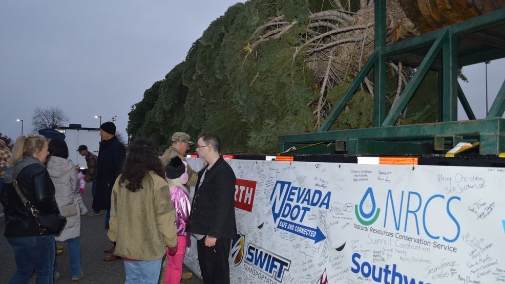 US Christmas Tree Arrival