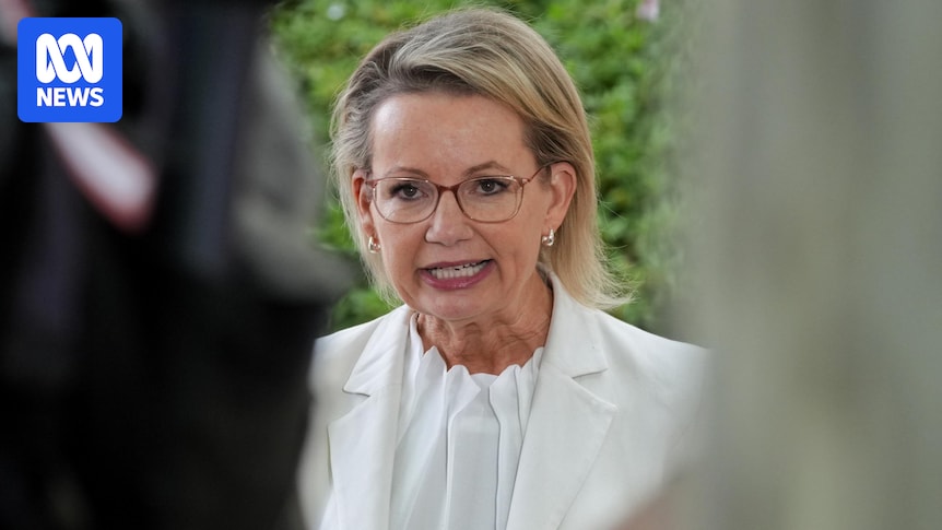 The Liberals want to ditch net zero but IEA report says it's cheaper, cleaner