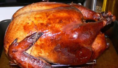 This Thanksgiving's real drama may be Michael Burry versus Nvidia