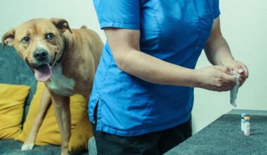 Pet owners are refusing to vaccinate their dogs and cats. Their logic is mind-boggling.