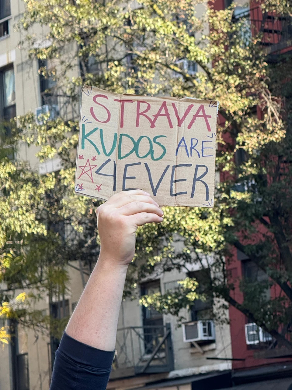 The best and funniest signs of the 2025 New York City Marathon