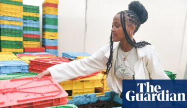 All the world loves a larva: the ‘amazing’ maggots at the centre of an agricultural revolution | Rural Australia