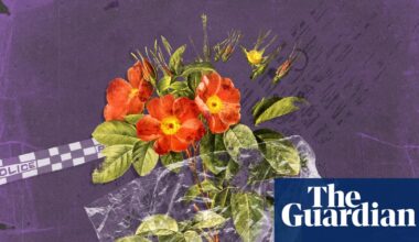 ‘Cannot believe it’s still happening’: readers respond to ‘heartbreaking’ domestic violence homicides | Australia news