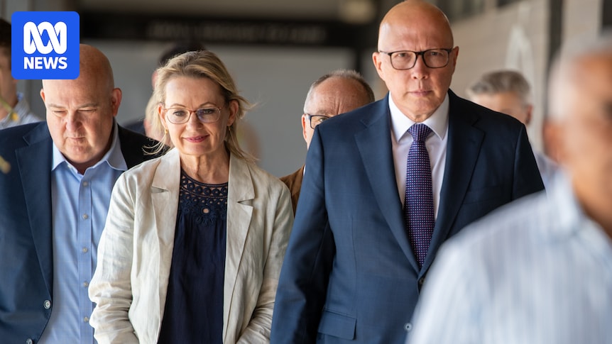 Millennials and Gen Z voters continued shift away from Coalition in 2025