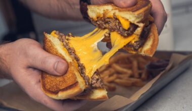 Wayback Burgers' menu features a cheesy melt burger with two beef patties and four slices of American cheese. (Courtesy Wayback Burgers)