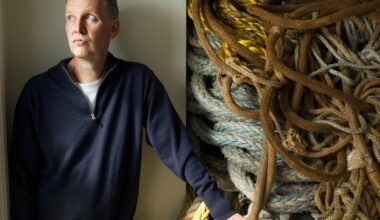 The British artist David Shrigley wants £1m for piles of old rope - The Art Newspaper