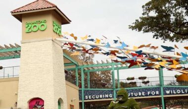 San Antonio Zoo offers $8 admission on Friday