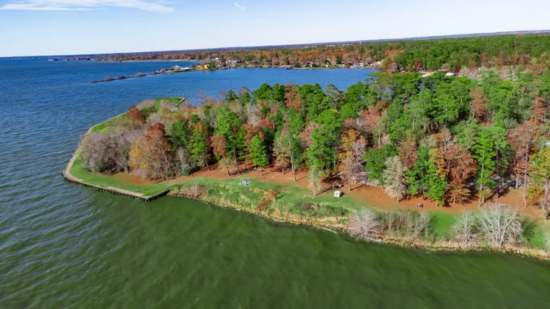 An aerial shot of Lake Livingston park, showing various different colored trees