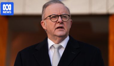 Sharing COP presidency with Türkiye 'not an option', says Albanese