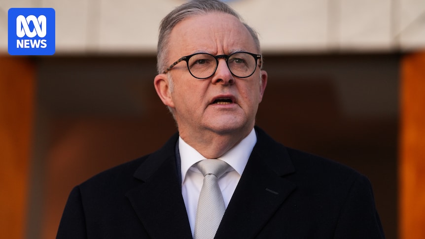 Sharing COP presidency with Türkiye 'not an option', says Albanese