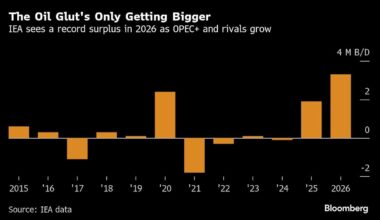 OPEC+ to Pause Output Hikes Next Year as Market Set for Glut